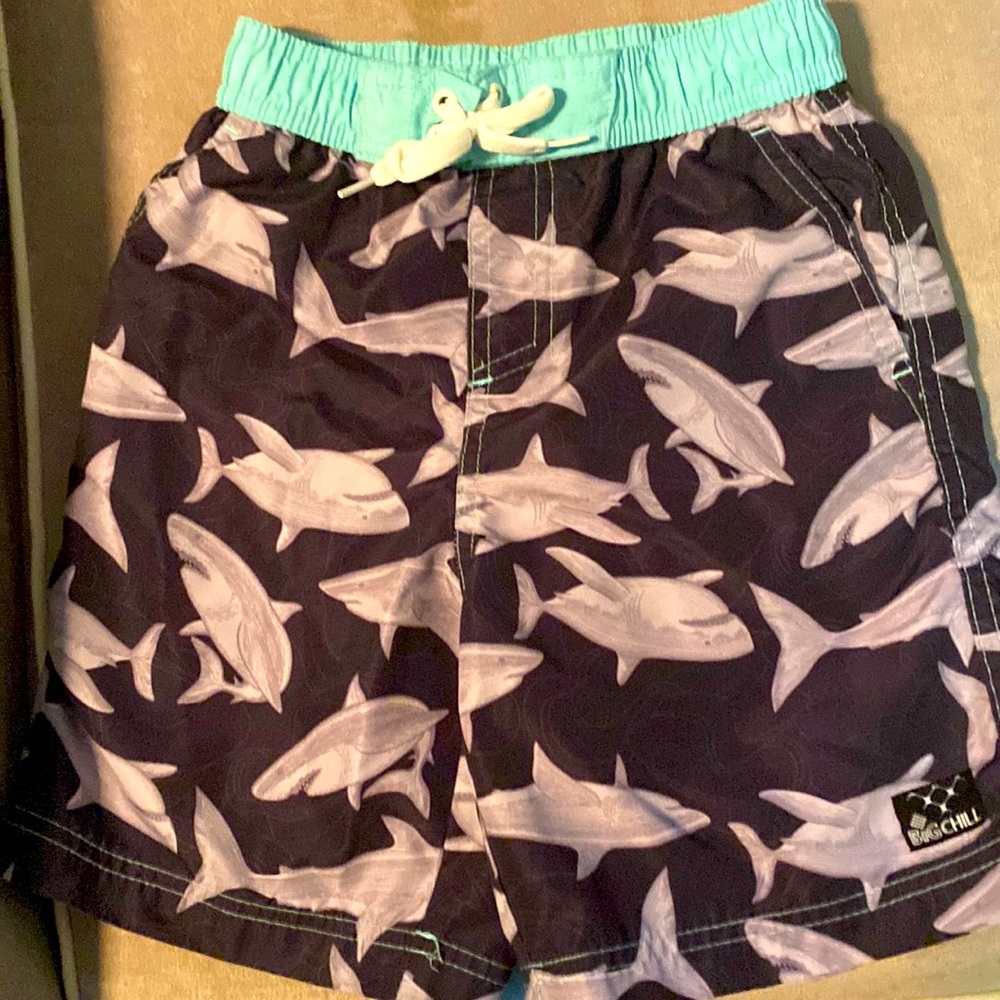 Big chill sharks